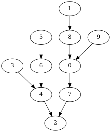 directed tree